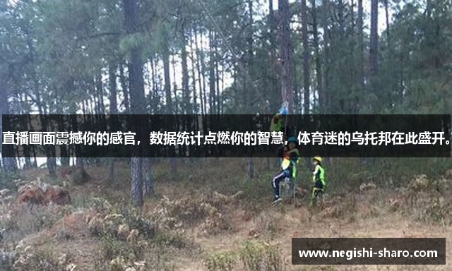 直播画面震撼你的感官，数据统计点燃你的智慧，体育迷的乌托邦在此盛开。
